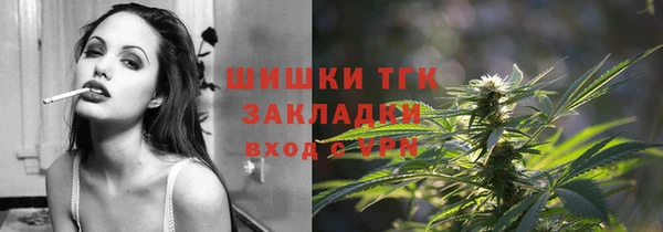 ALPHA PVP Няндома