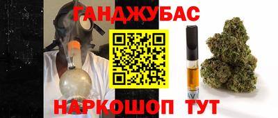 МДПВ Гагарин