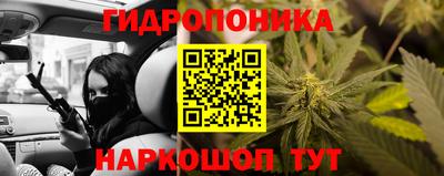 молекула духа Гай