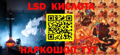стаф Гатчина
