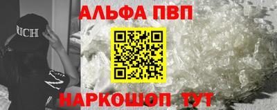 стаф Гатчина