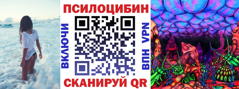 Галлюциногенные грибы MAGIC MUSHROOMS сколько стоит Калач-на-Дону