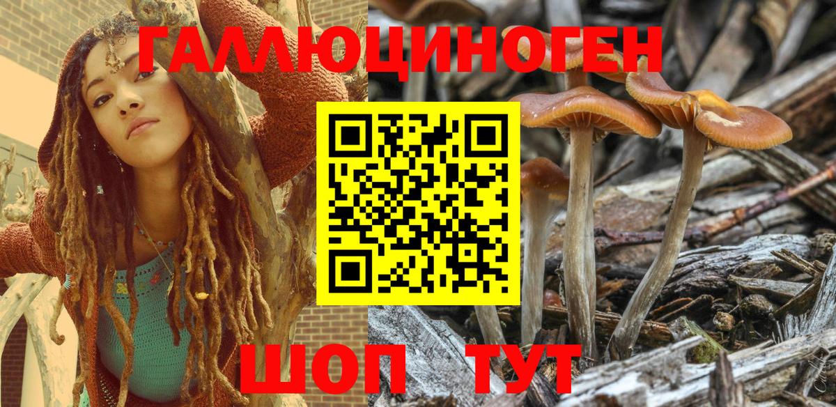Псилоцибиновые грибы MAGIC MUSHROOMS Калач-на-Дону